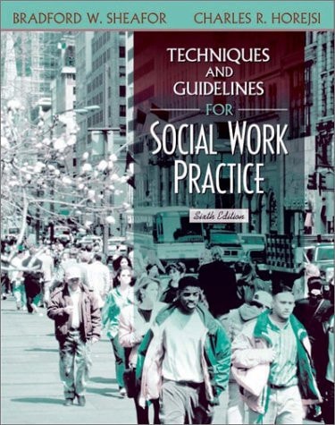 Techniques and Guidelines for Social Work Practice (6th Edition)
