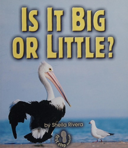 Is It Big or Little? (First Step Nonfiction ? Properties of Matter)