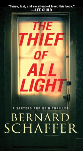 The Thief of All Light (A Santero and Rein Thriller)