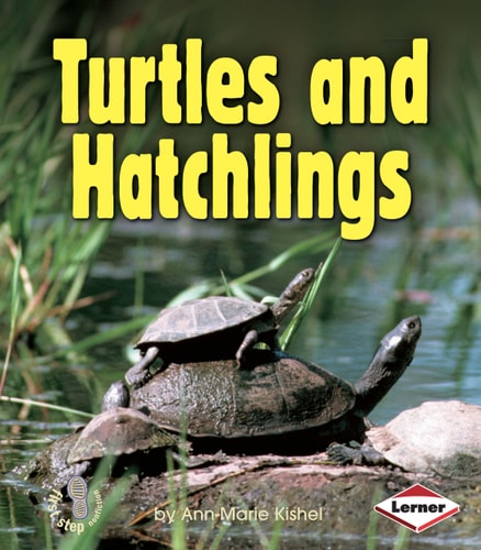Turtles and Hatchlings (First Step Nonfiction ? Animal Families)
