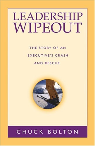 Leadership Wipeout: The Story of an Executive's Crash and Rescue