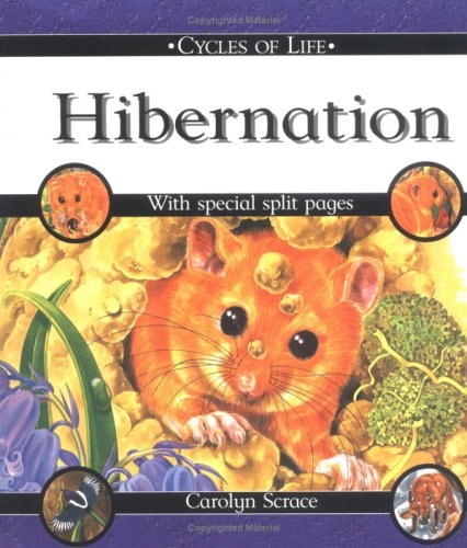 Hibernation (Cycles of Life)