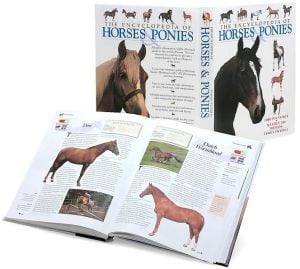 The Encyclopedia of Horses & Ponies