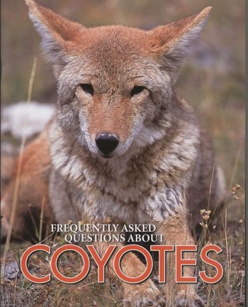 Coyotes (Frequently Asked Questions About)