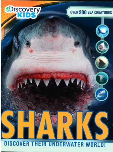 Discovery Kids Sharks Discover Their Underwater World!