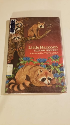 Little Raccoon