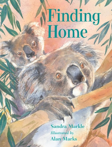 Finding Home