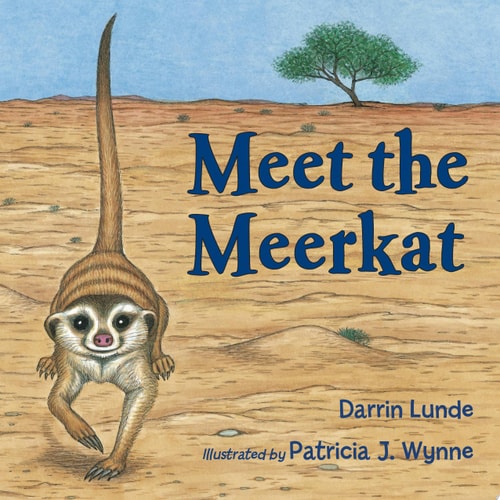 Meet the Meerkat