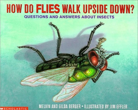 How Do Flies Walk Upside Down: Questions and Answers About Insects