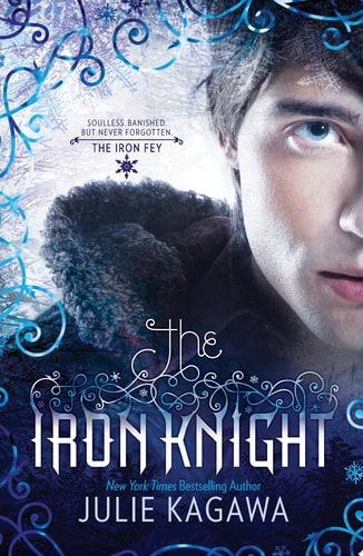 The Iron Knight (Iron Fey)