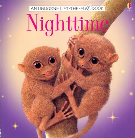 Nighttime (Usborne Life-The-Flap Book)