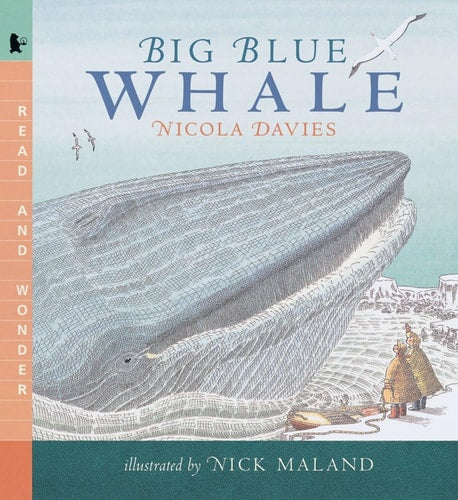Big Blue Whale Read and Wonder