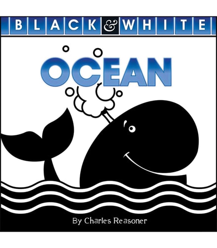 Ocean (Black And White)