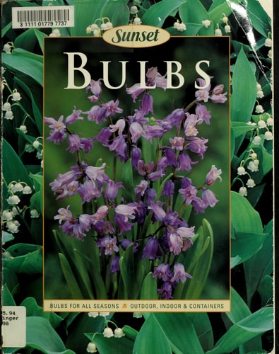 Bulbs