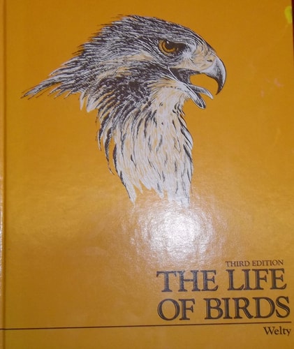The life of birds