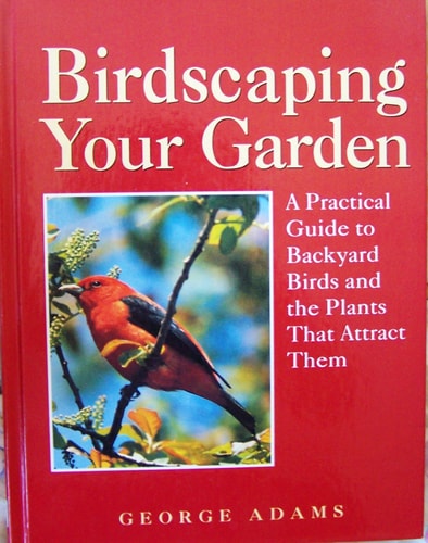Birdscaping Your Garden: A Practical Guide to Backyard Birds and the Plants That Attract Them