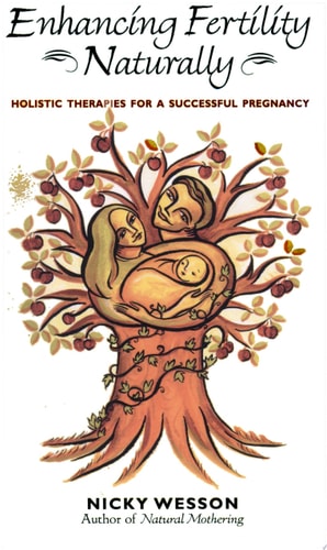 Enhancing Fertility Naturally: Holistic Therapies for a Successful Pregnancy