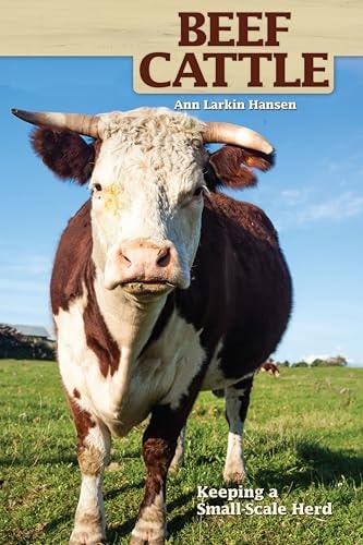 Beef Cattle Keeping a Small-Scale Herd for Pleasure and Profit
