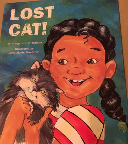 Lost Cat!