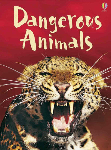 Dangerous Animals: Level 1: Internet Referenced (Usborne Beginners Level 1: Nature)