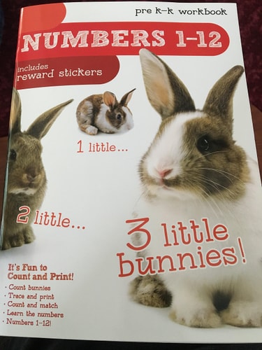 Numbers 1 - 12 - Bendon Pre - K to K Workbook