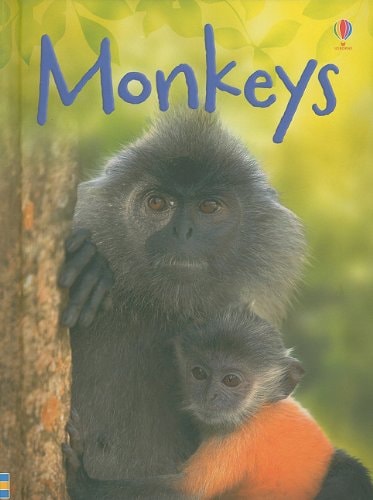 Monkeys (Usborne Beginners)