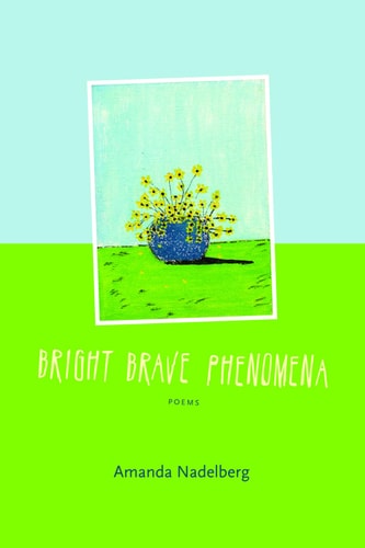 Bright Brave Phenomena
