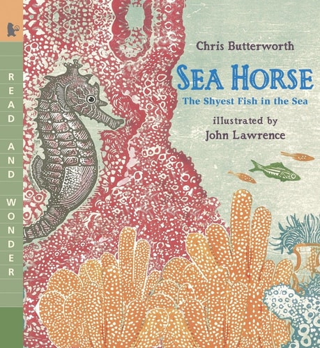 Sea Horse The Shyest Fish in the Sea