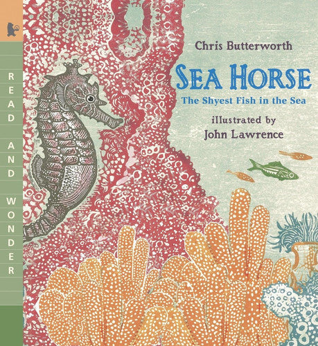 Sea Horse The Shyest Fish in the Sea