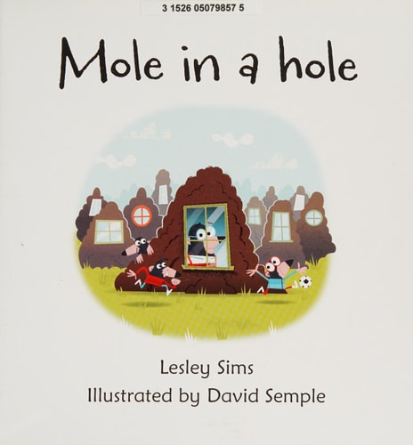 Mole in a Hole IR