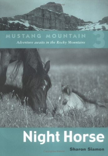 Night Horse (Mustang Mountain Series)