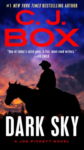 Dark Sky (A Joe Pickett Novel)