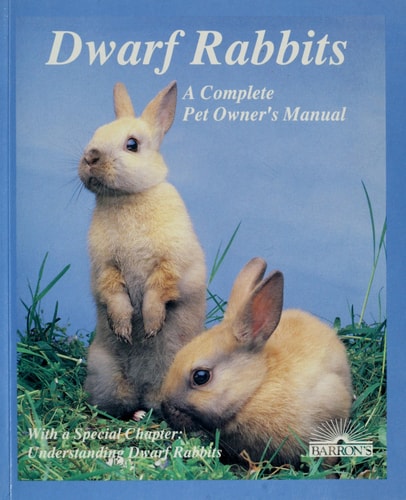 Dwarf Rabbits: How to Take Care of Them and Understand Them