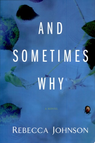 And Sometimes Why