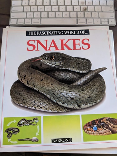 The Fascinating World of Snakes