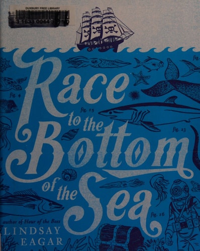 Race to the Bottom of the Sea