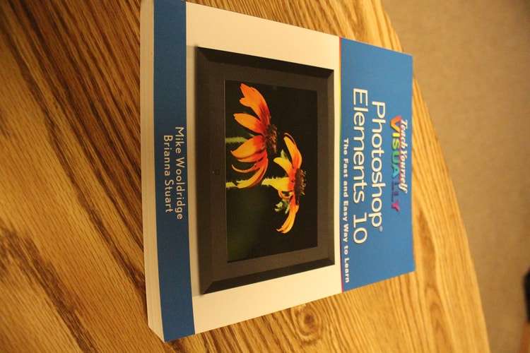 Teach Yourself VISUALLY Photoshop Elements 10