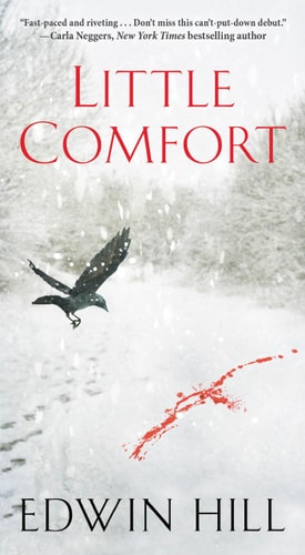 Little Comfort (A Hester Thursby Mystery)