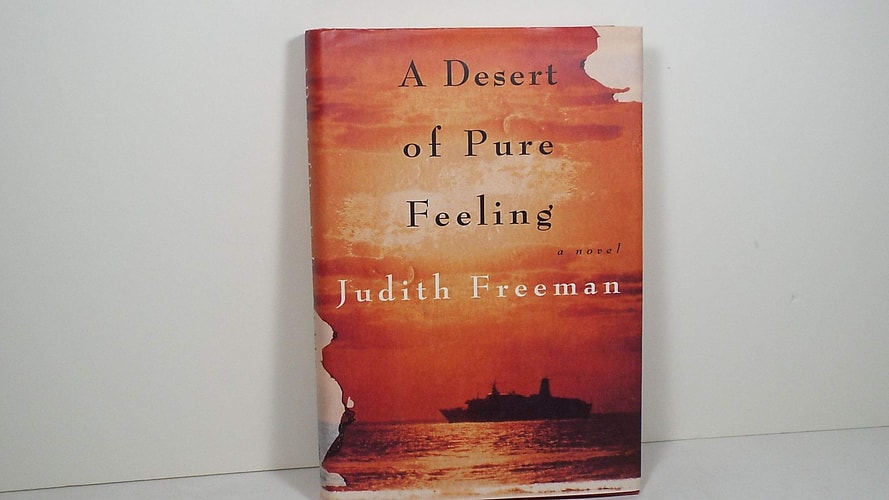 A Desert of Pure Feeling: A novel
