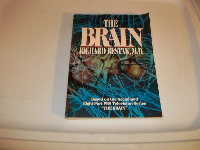 Brain