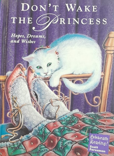 Don't Wake the Princess Hopes, Dreams and Wishes