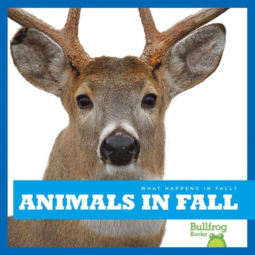 Animals in Fall (Bullfrog Books: What Happens in Fall?)