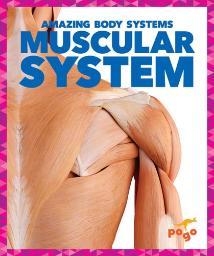 Muscular System (Pogo Books: Amazing Body Systems)