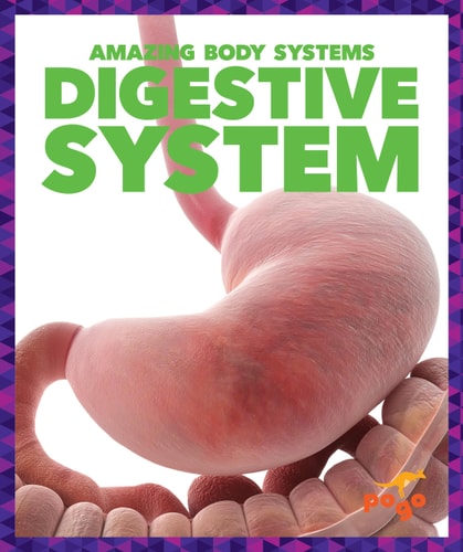 Digestive System (Pogo Books: Amazing Body Systems)