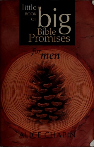 The Little Book of Big Bible Promises for Men