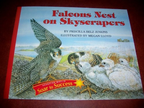 Falcons Nest Level 4: Houghton Mifflin Soar to Success