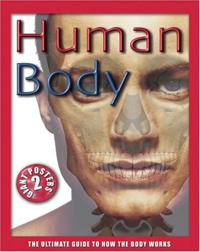 Human Body The Ultimate Guide to How the Body Works