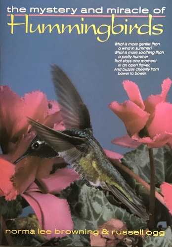 The Mystery and Miracle of Hummingbirds