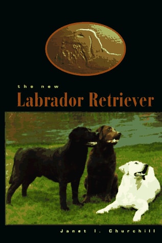 The New Labrador Retriever