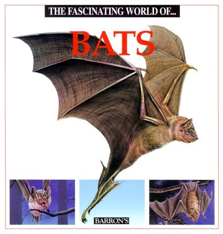 The Fascinating World Of...Bats